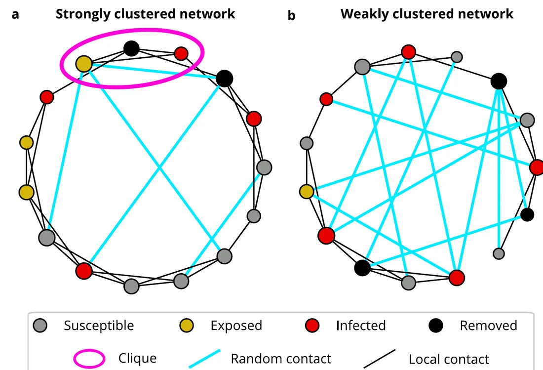 Two ring-shaped contact networks: a strongly clustered one with few random long-range links and a weakly clustered one with many.